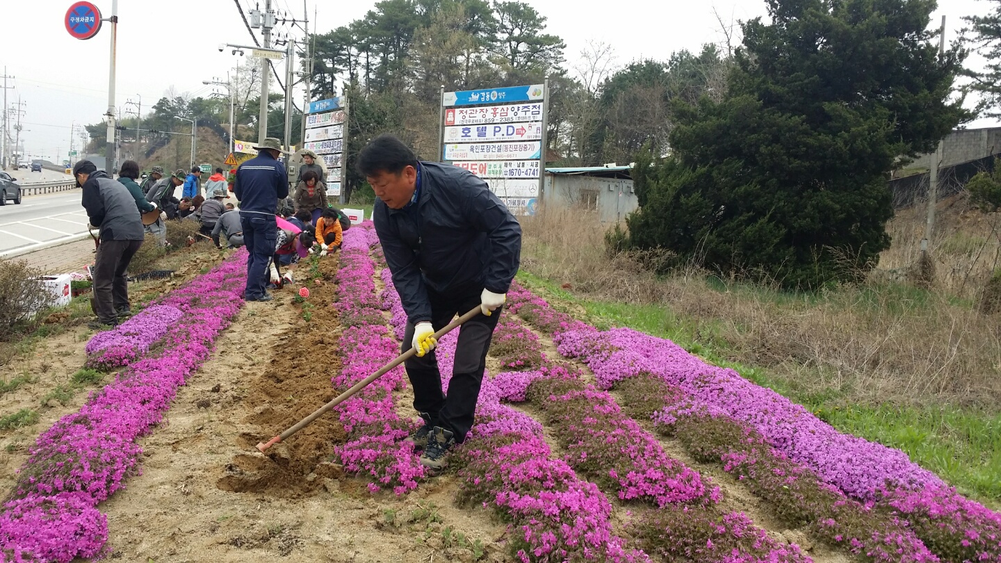 양주1동 봄철 꽃 심기 작업으로 아름다운 꽃길을 이미지