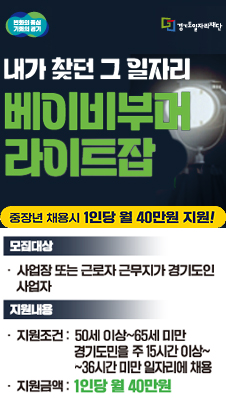 베이비부머 라이트잡