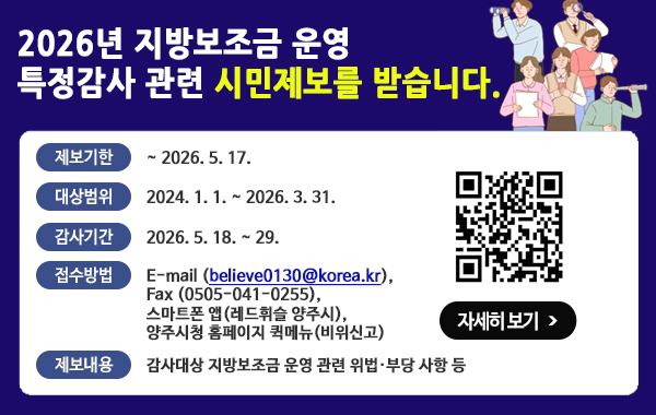 2026년 지방보조금 운영 특정감사