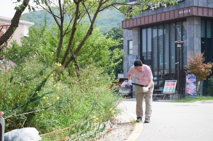 적십자봉사회 환경캠페인 의 사진