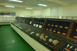 자연사박물관01 의 사진