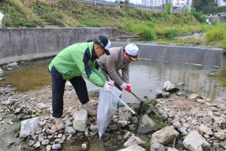 백석 국토대청결운동 의 사진