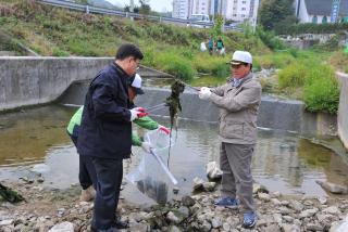 백석 국토대청결운동 의 사진