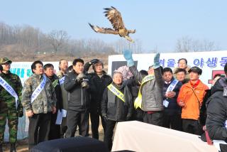 야생동물 먹이주기 행사 의 사진