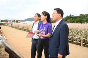 천일홍축제 현장점검 사진