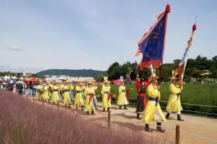 천만송이 천일홍축제 사진