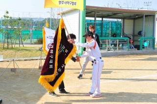 시장기야구대회 의 사진