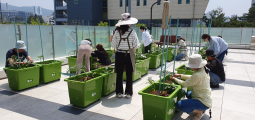 240523-2024년 도시텃밭 농부학교 이미지