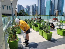 240627-2024년 도시텃밭 농부학교 (4차) 이미지