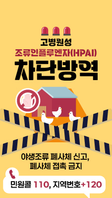 고병원성 조류인플루엔자(HPAI)차단방역

- 야생조류 폐사체 신고, 폐사체 접촉 금지
- 민원콜 110,지역번호+120