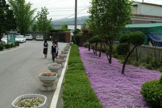 학교숲 가꾸기 보고회01 의 사진