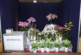 꽃박람회01 의 사진