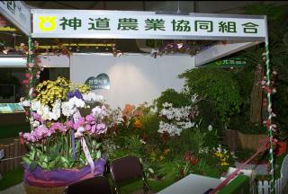 꽃박람회01 의 사진