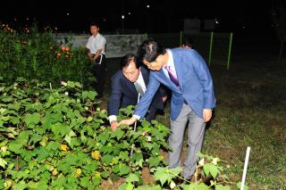 경기도지사 목화밭 방문 의 사진