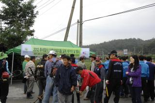 추석맞이 돼지풀 의 사진