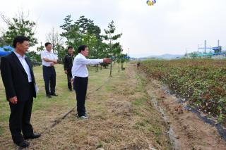 목화밭 현장점검 의 사진