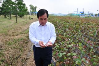 목화밭 현장점검 의 사진