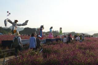 천만송이 천일홍축제 의 사진