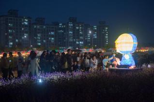 천만송이 천일홍축제 의 사진