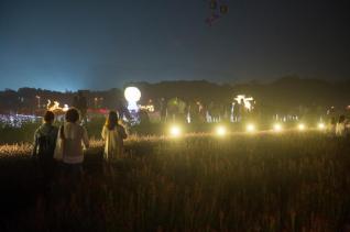 천만송이 천일홍축제 의 사진