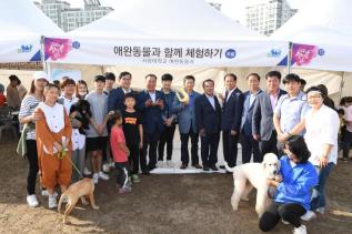 천만송이 천일홍축제 의 사진