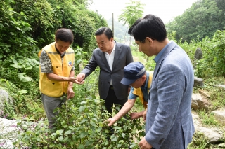 아로니아 품평회 사진